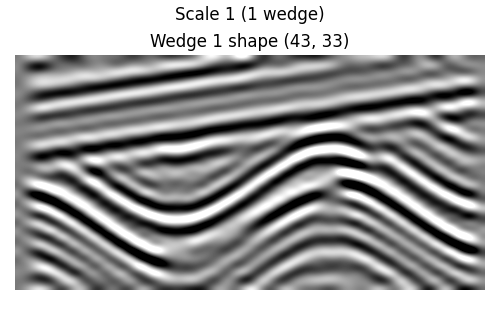 Scale 1 (1 wedge), Wedge 1 shape (43, 33)